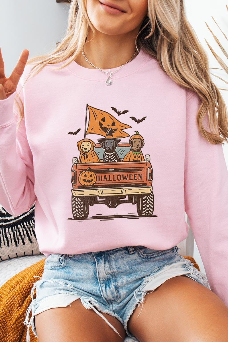 UL180-E3150 Halloween Truck Dogs Graphic Sweatshirt $20