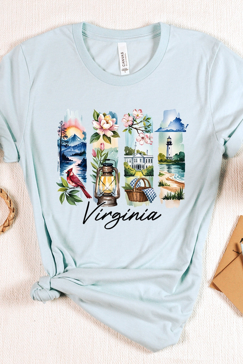 US3001P-E3061VA Virginia State Brushstroke Graphic Plus Tee $16