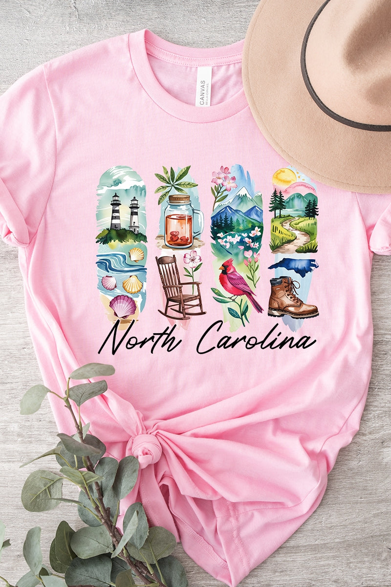 US3001P-E3061NC North Carolina State Brushstroke Graphic Plus Tee $16