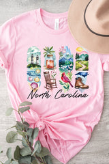 US3001P-E3061NC North Carolina State Brushstroke Graphic Plus Tee $16