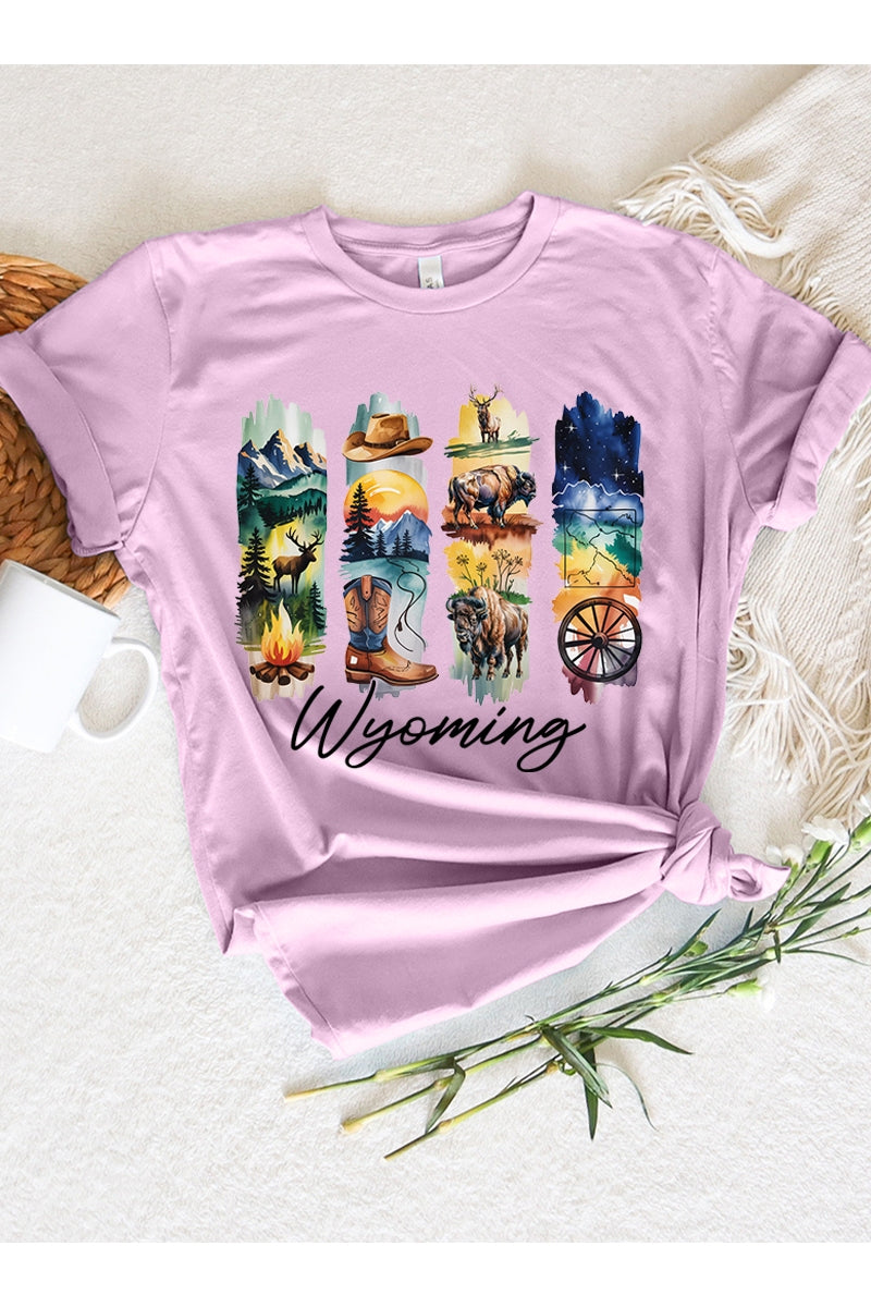 US3001P-E3061WY Wyoming State Brushstroke Graphic Plus Tee $16