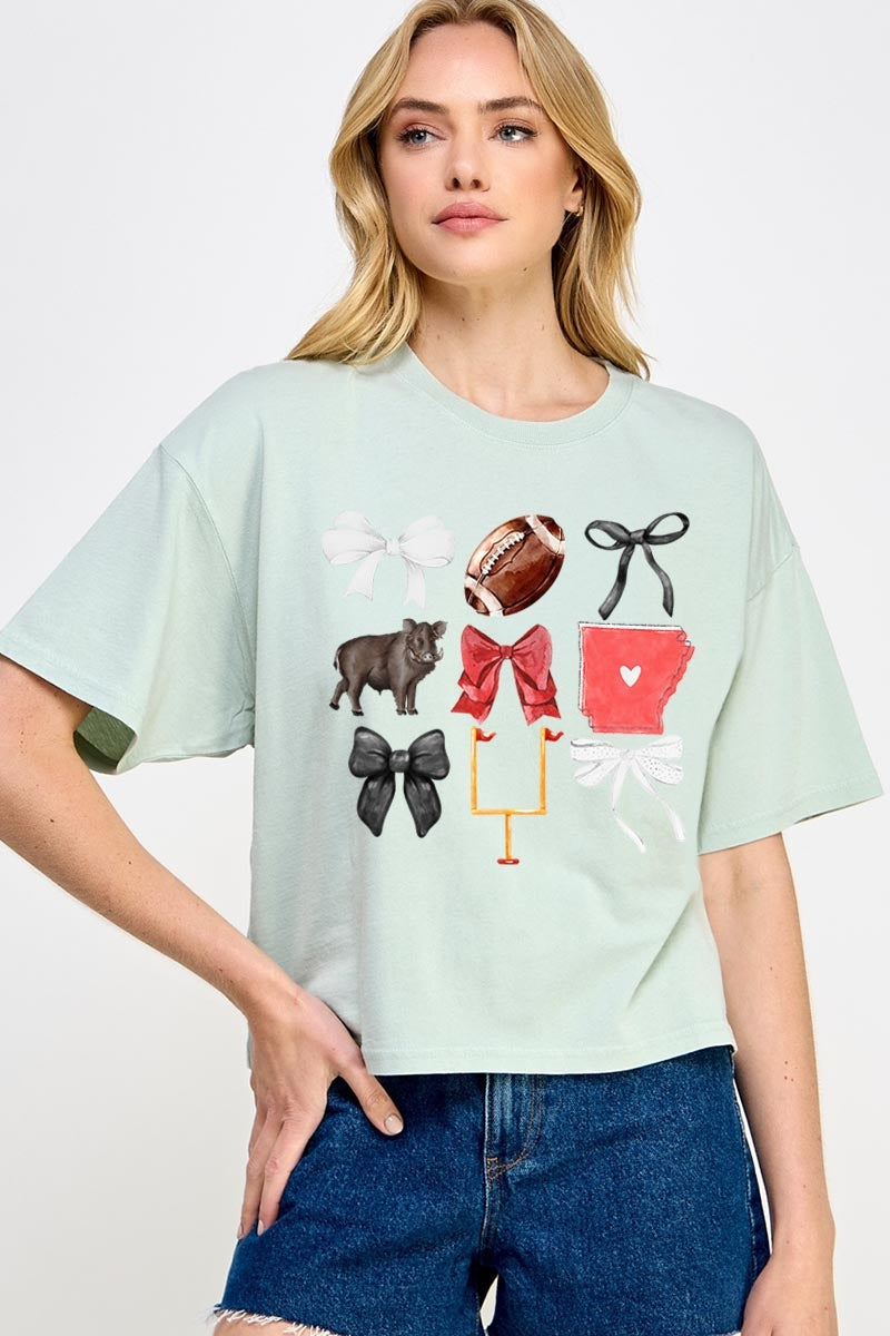 CTS-E3077 Arkansas Football Graphic Relaxed Crop Top $11