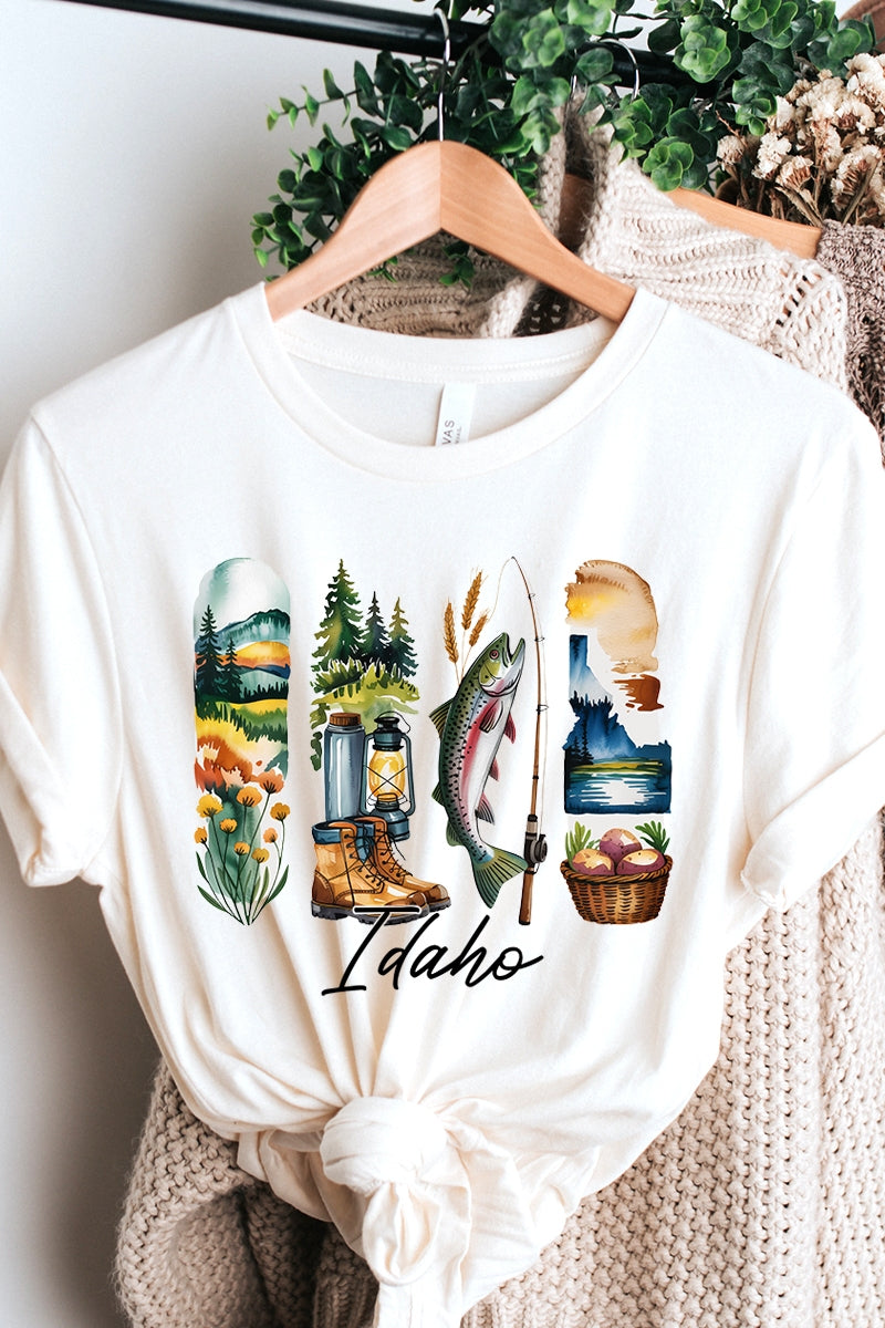 US3001P-E3061ID Idaho State Brushstroke Graphic Plus Tee $16