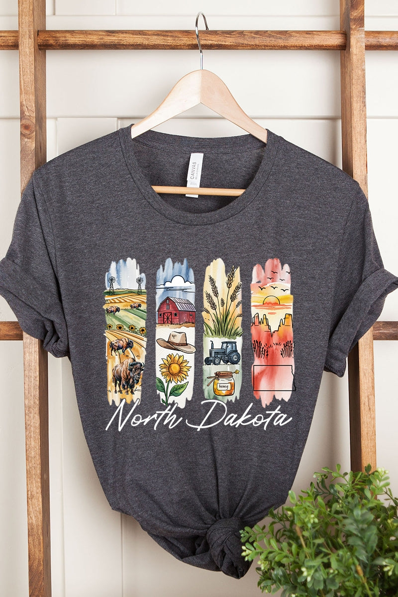 US3001P-E3061ND North Dakota State Brushstroke Graphic Plus Tee $16
