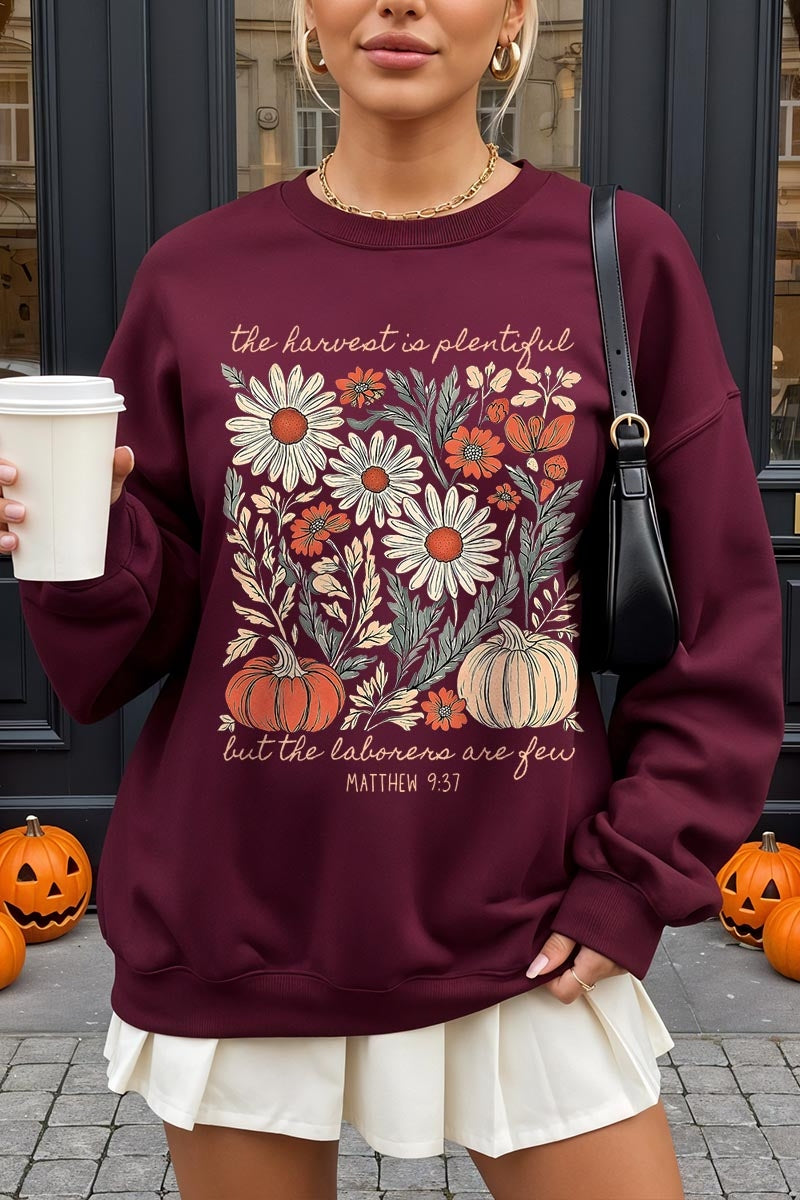 UL180-E3173 Faith Harvest Graphic Sweatshirt $20