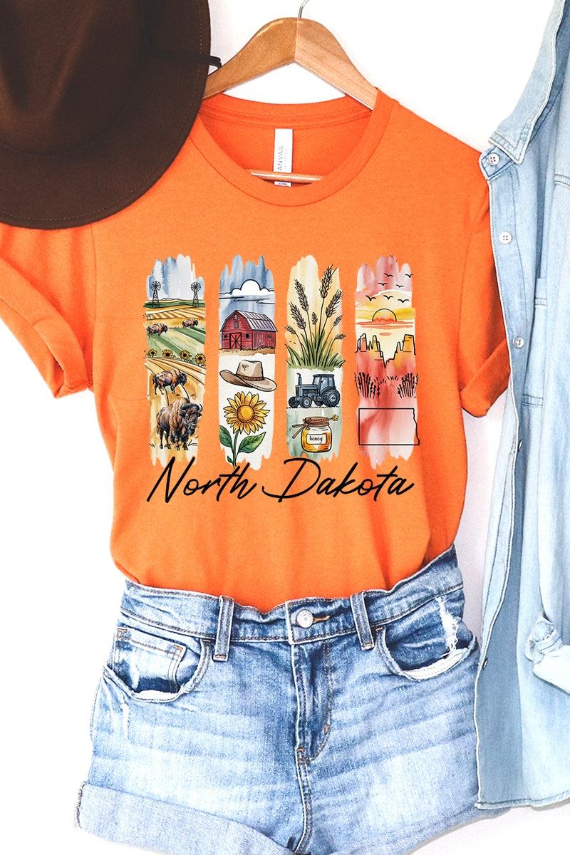 US3001P-E3061ND North Dakota State Brushstroke Graphic Plus Tee $16