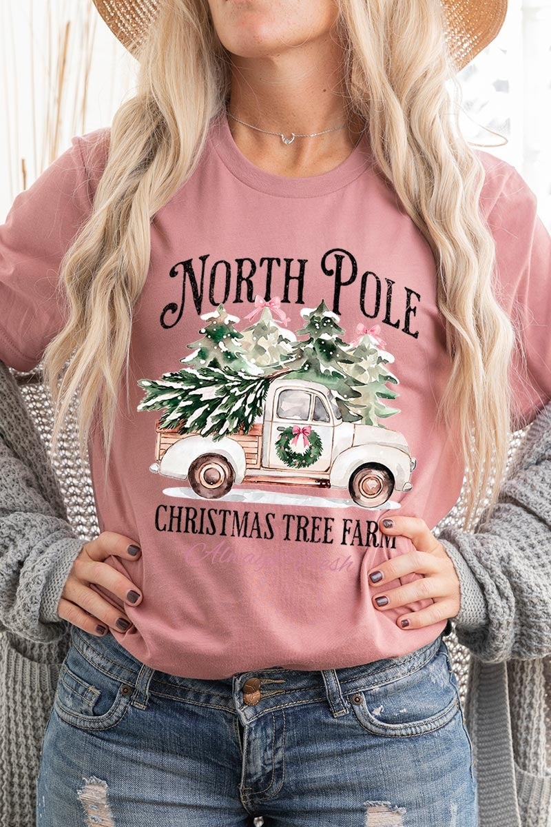 US3001P-E3174 North Pole Christmas Graphic Plus Tee $16