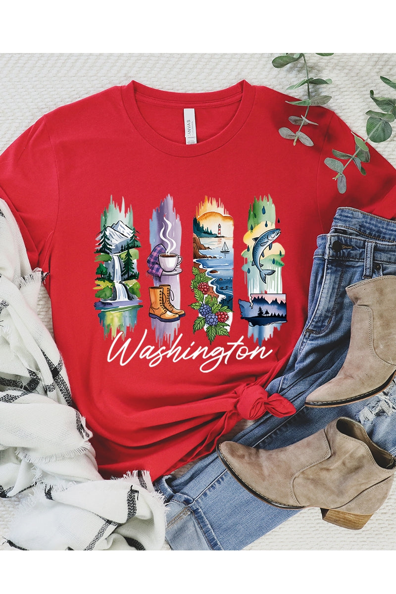 US3001P-E3061WA Washington State Brushstroke Graphic Plus Tee $16