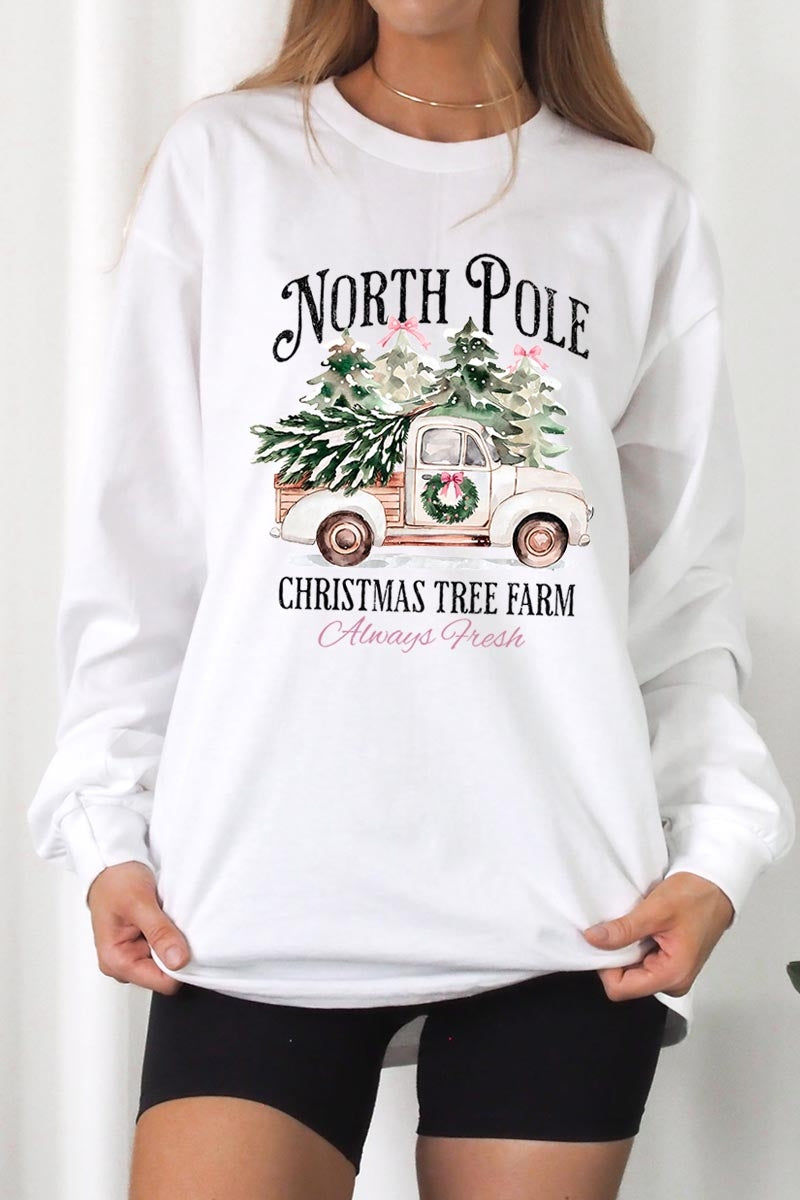UL240-E3174 North Pole Christmas Graphic Long Sleeve Tee $13.75