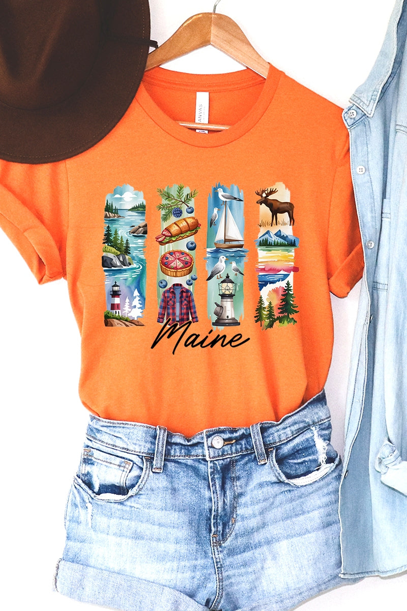 US3001P-E3061ME Maine State Brushstroke Graphic Plus Tee $16