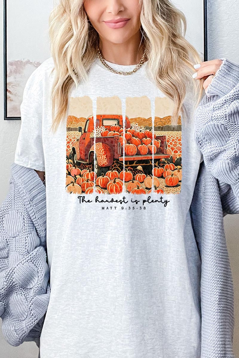 5000P-E3172 Harvest Is Plenty Graphic Plus Heavy Cotton Tee $12.75