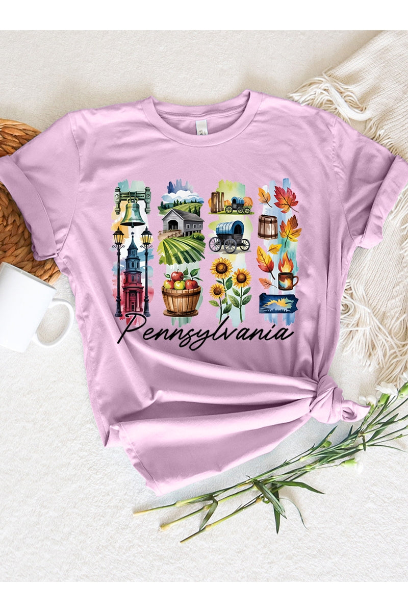 US3001-E3061PA Pennsylvania State Brushstroke Graphic Tee $12.5