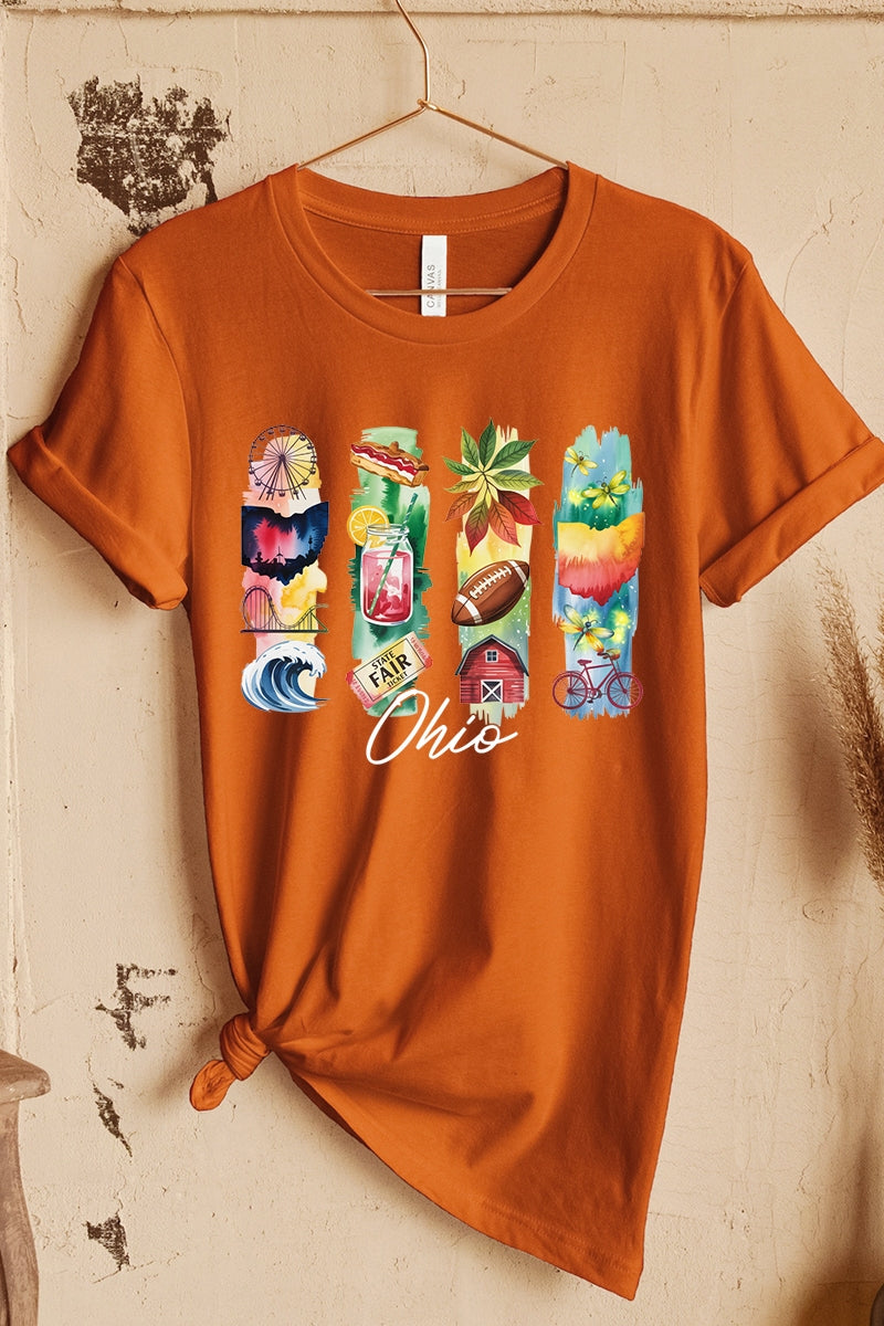 US3001P-E3061OH Ohio State Brushstroke Graphic Plus Tee $16