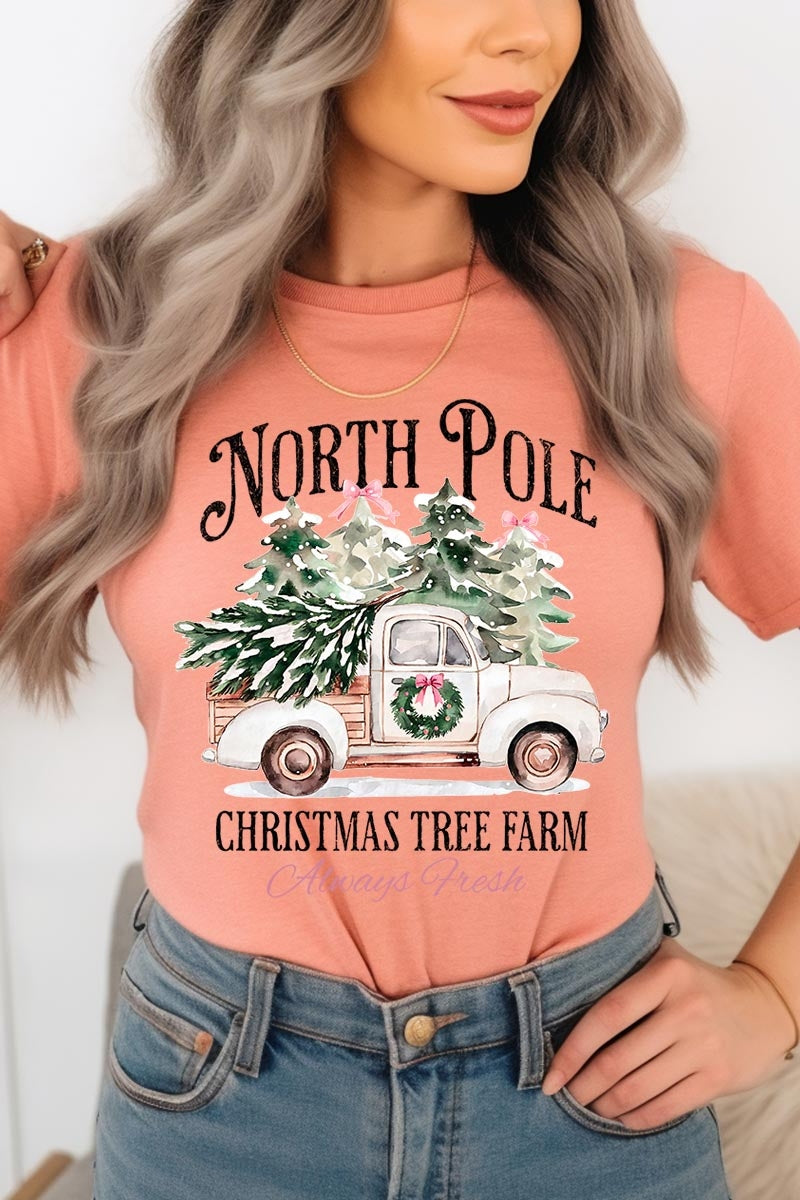 US3001-E3174 North Pole Christmas Graphic Tee $12.5