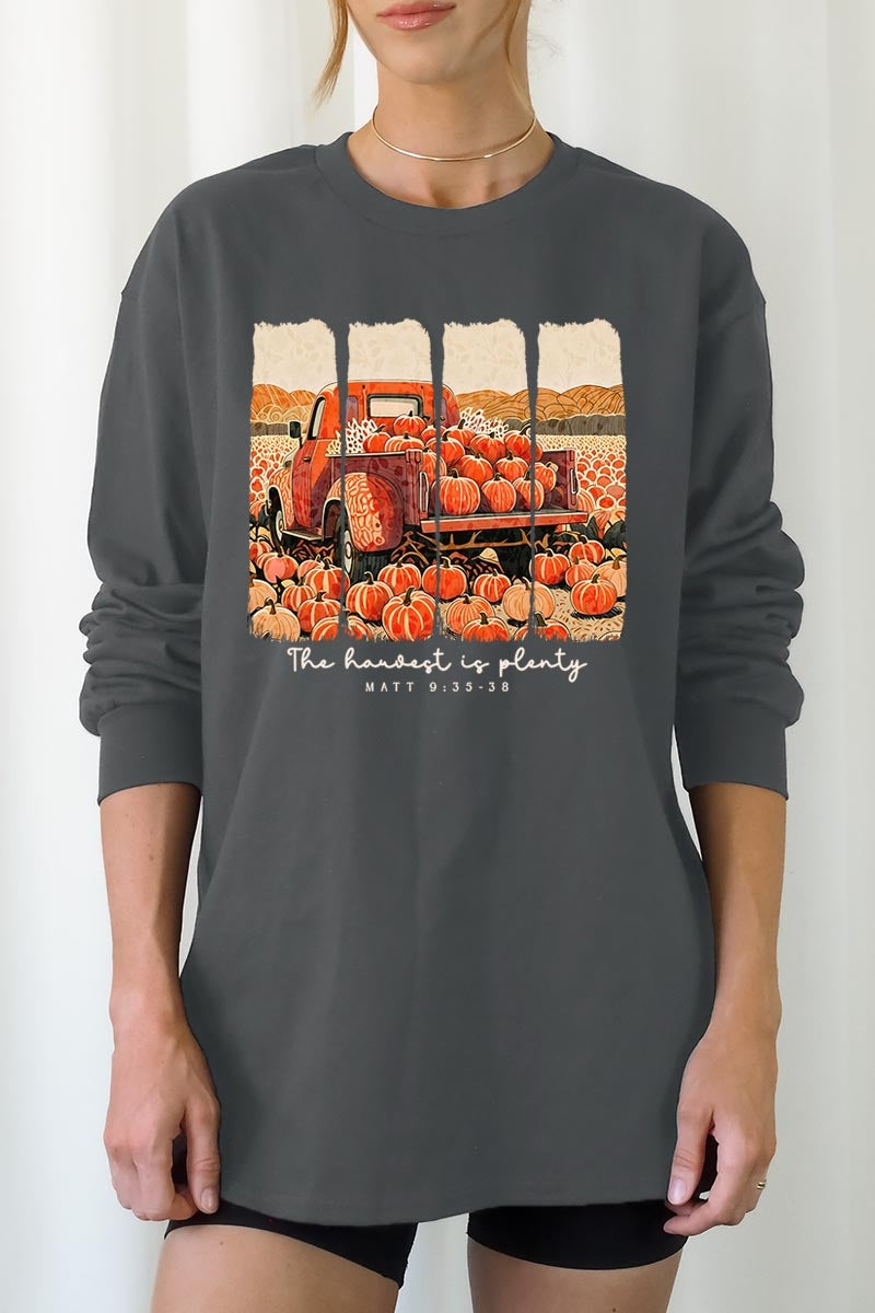 UL240-E3172 Harvest Is Plenty Graphic Long Sleeve Tee $13.75