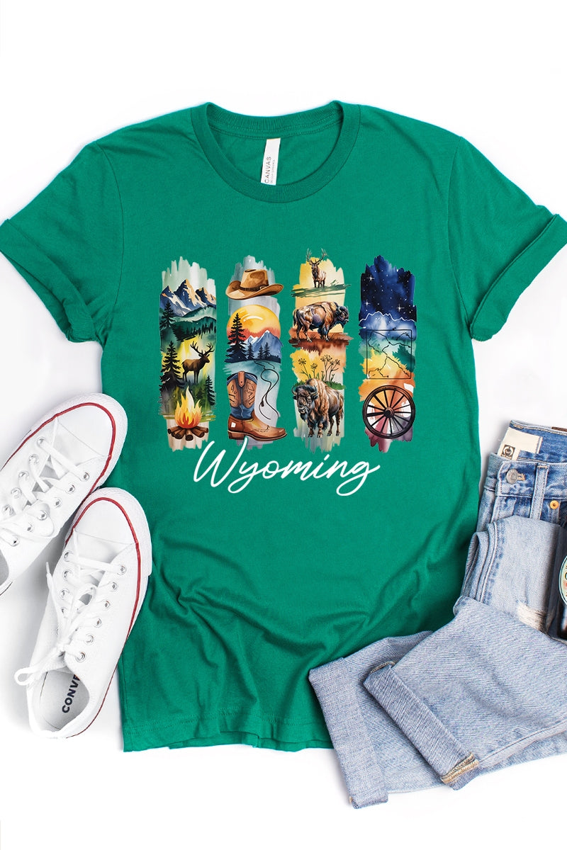 US3001P-E3061WY Wyoming State Brushstroke Graphic Plus Tee $16