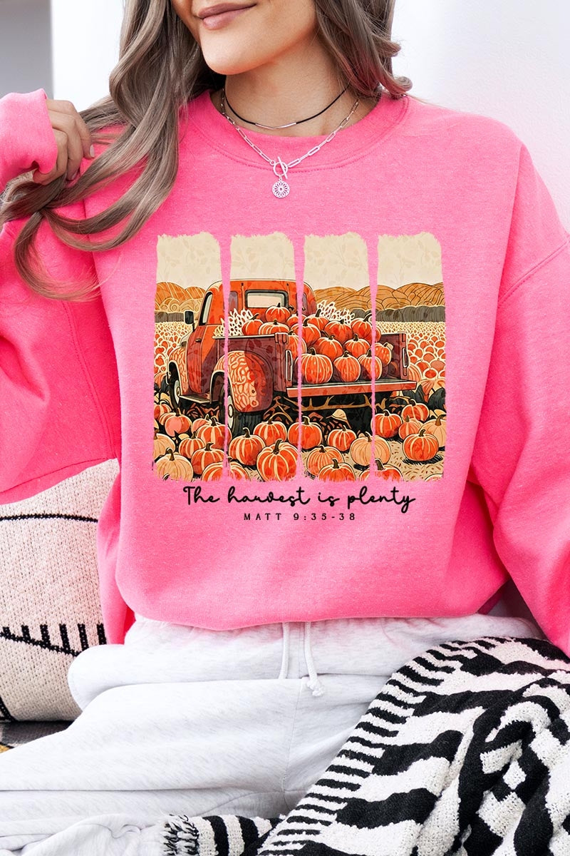 UL180-E3172 Harvest Is Plenty Graphic Sweatshirt $20