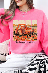 UL180P-E3172 Harvest Is Plenty Graphic Plus Sweatshirt $25