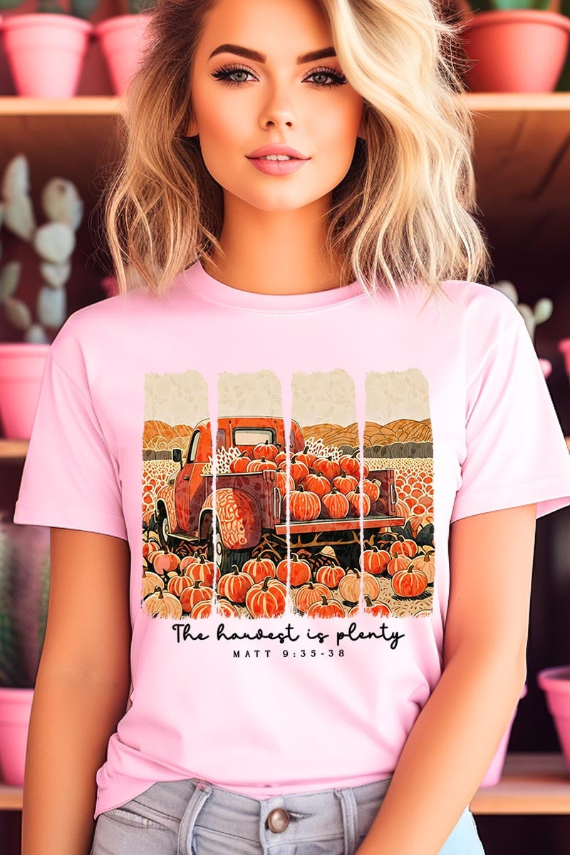 US3001-E3172 Harvest Is Plenty Graphic Tee $12.5