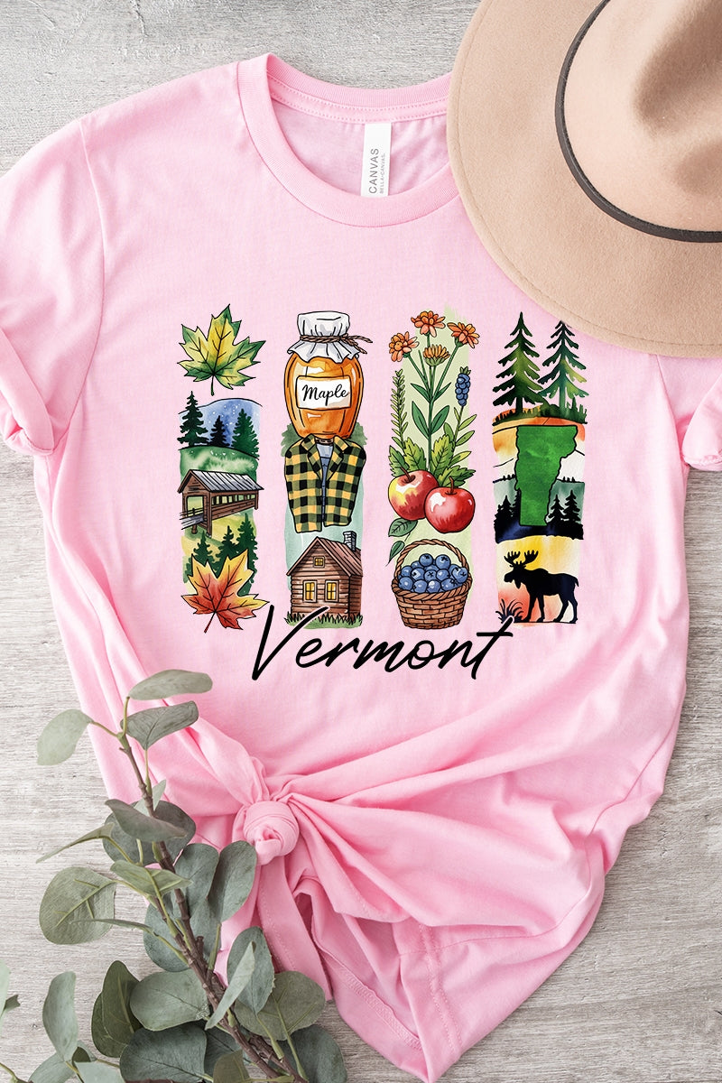 US3001-E3061VT Vermont State Brushstroke Graphic Tee $12.5