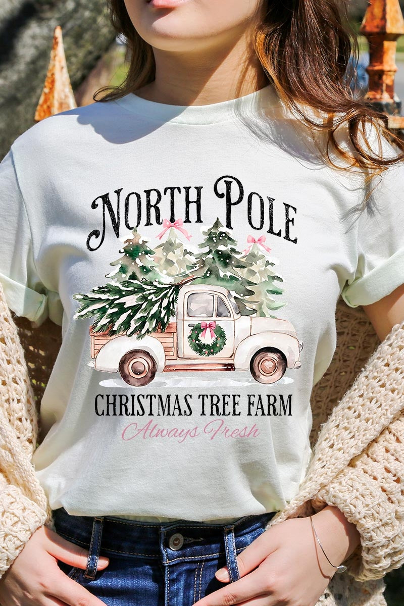 US3001P-E3174 North Pole Christmas Graphic Plus Tee $16