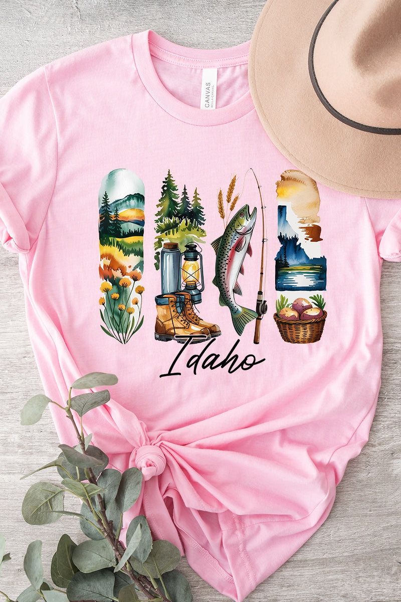 US3001P-E3061ID Idaho State Brushstroke Graphic Plus Tee $16